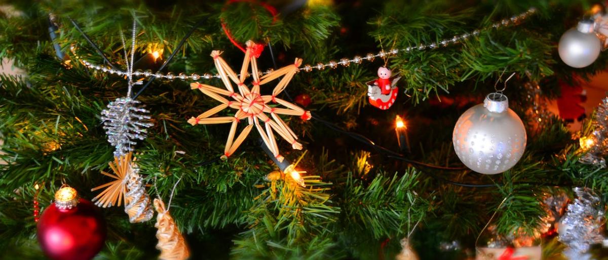 Christmas decoration hanged around green tree branches