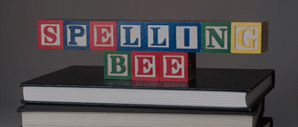 Spelling bee spelt out and arranged on a book