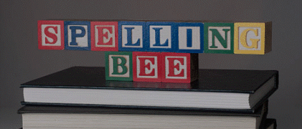 Spelling bee spelt out and arranged on a book