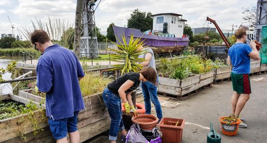 Residents gardening