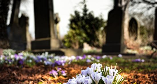 Cemetery with flowers