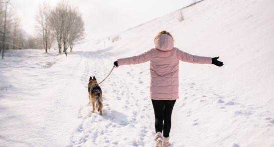 Snow covering a park. A lady standing on a path walking her dog in the snow.