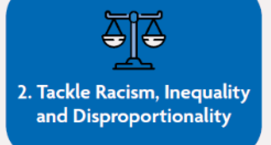 Racism and Inequality